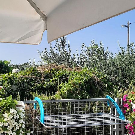 Studio Apartman Mare Trogir Bagian luar foto
