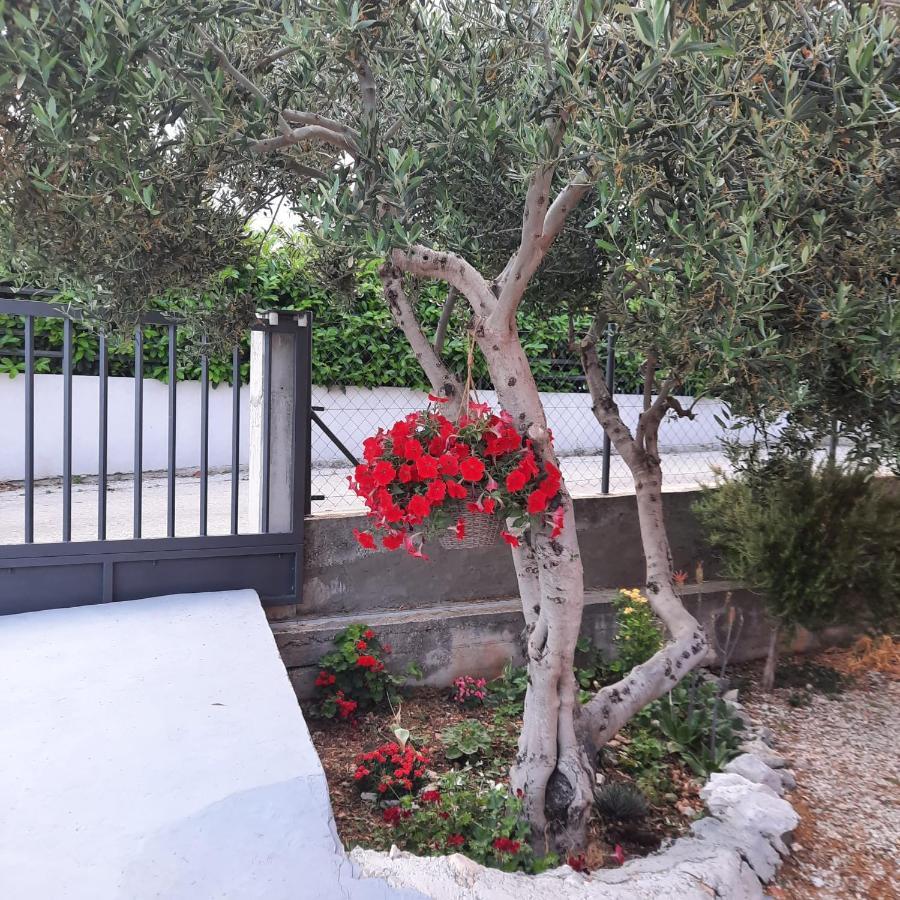 Studio Apartman Mare Trogir Bagian luar foto