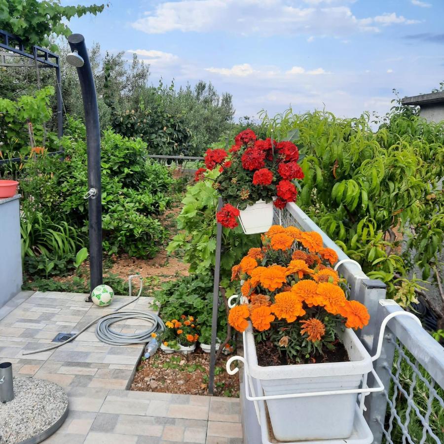 Studio Apartman Mare Trogir Bagian luar foto