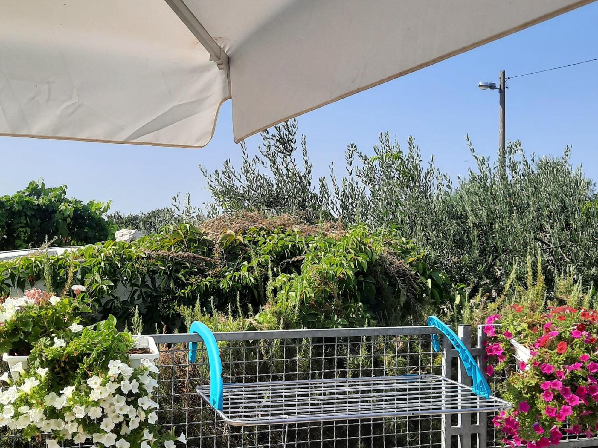 Studio Apartman Mare Trogir Bagian luar foto